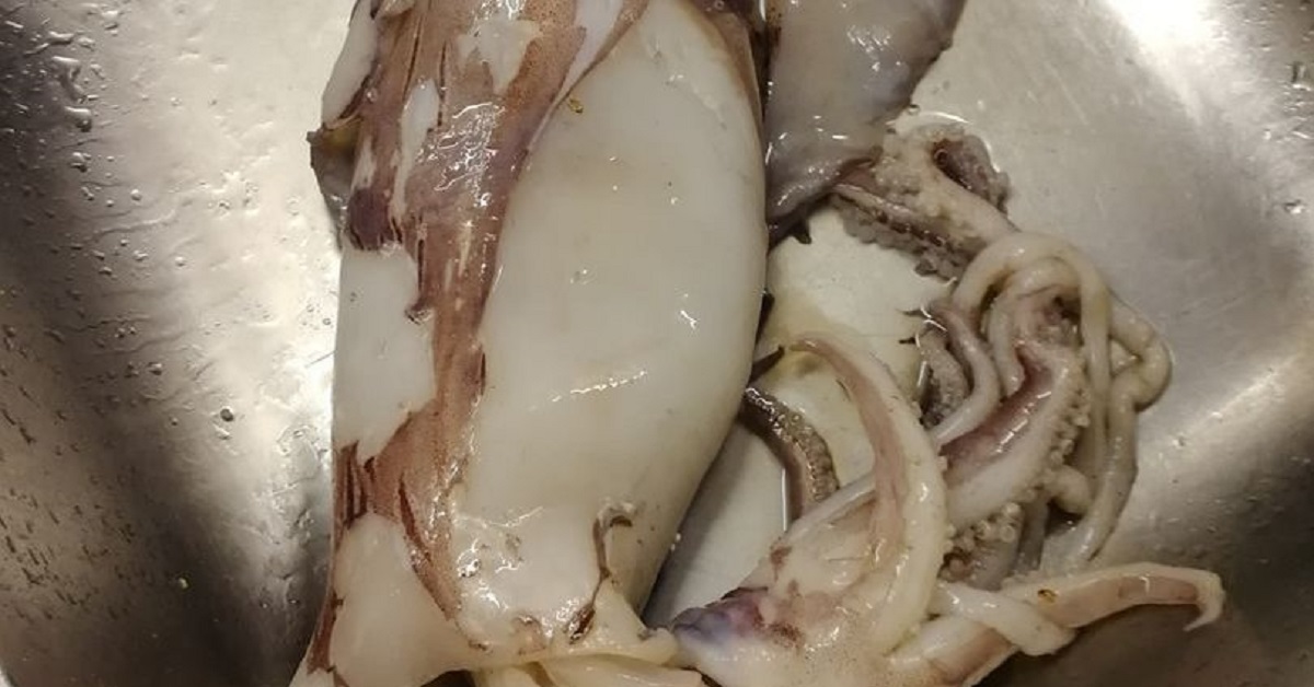 Prepara i calamari per pranzo e ha una sorpresa