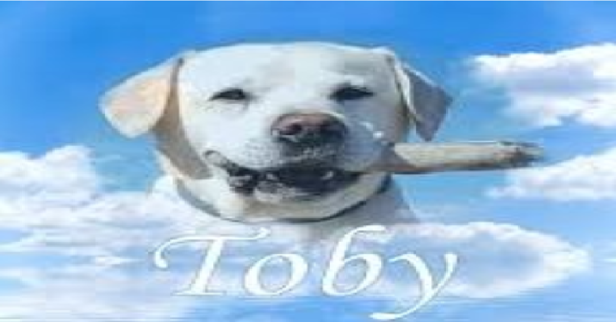 L addio a Toby