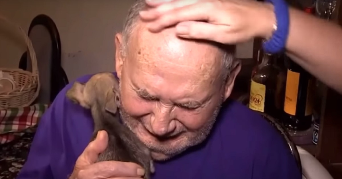 Un nuovo cucciolo di cane aiuta un anziano signore con il cuore spezzato