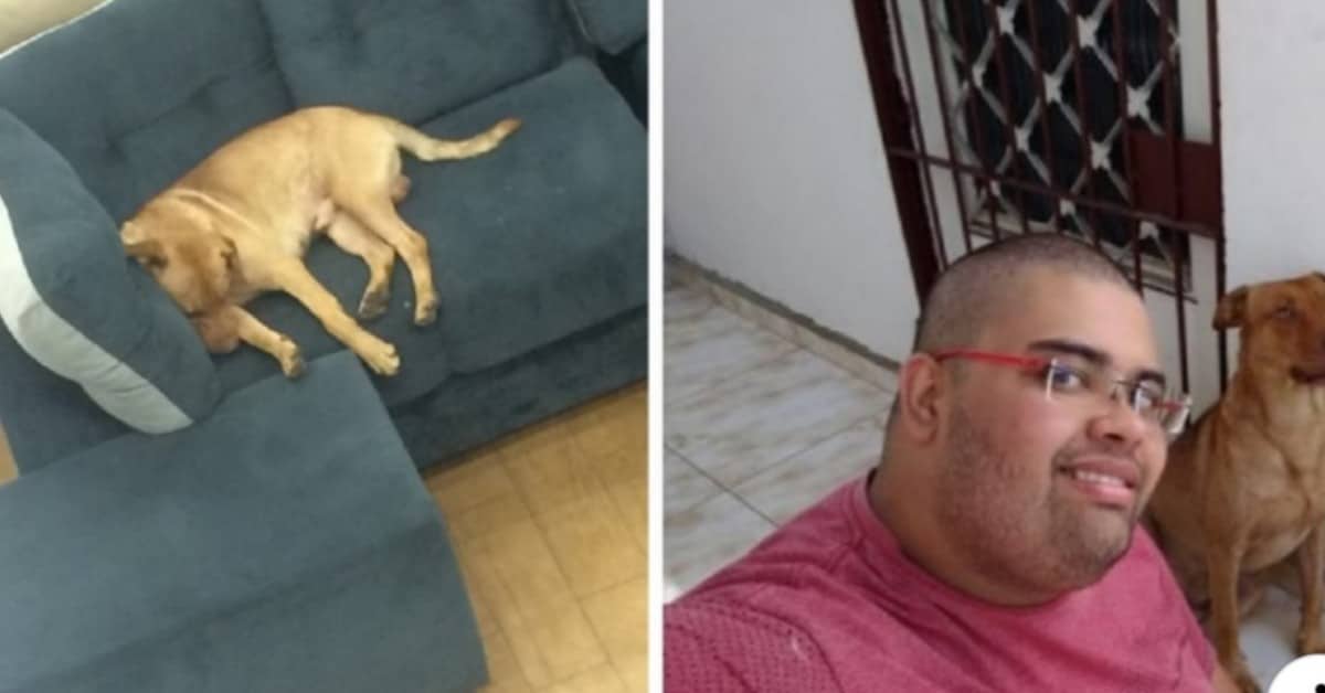 Dook, ha avuto un lieto fine meraviglioso