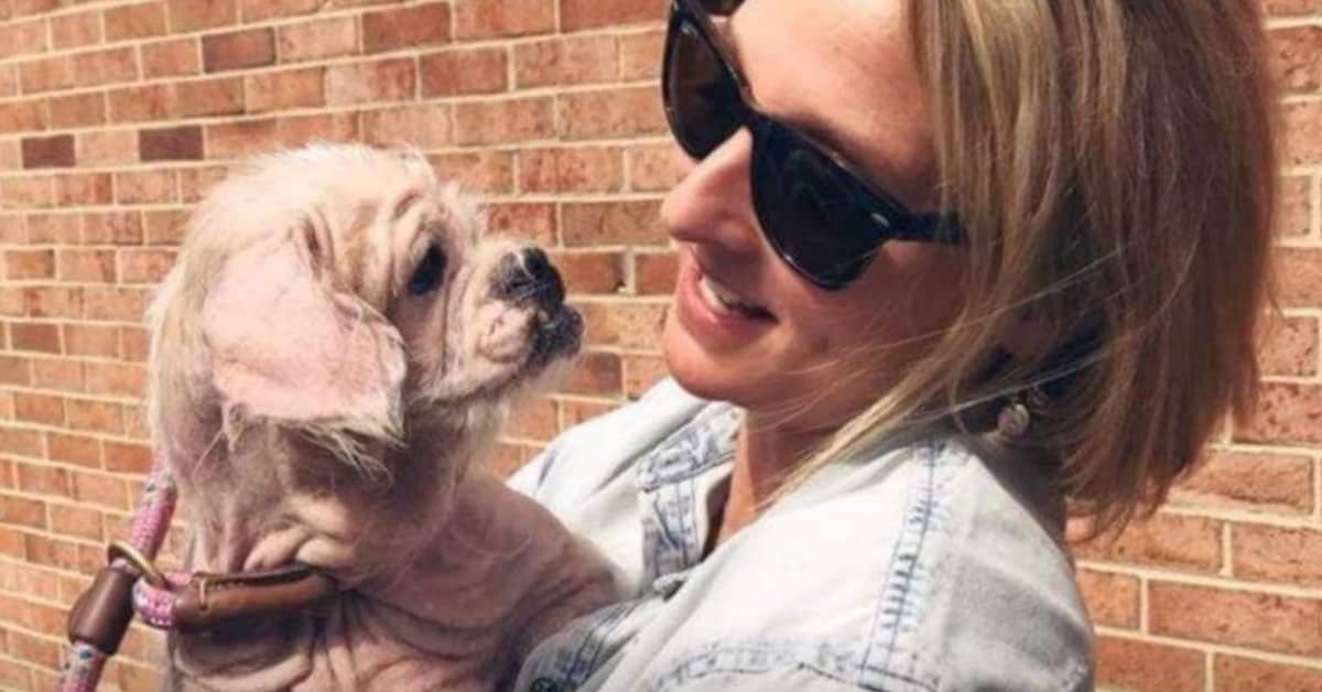 La cagnolina che è stata abbandonata in un sacco in condizioni gravissime
