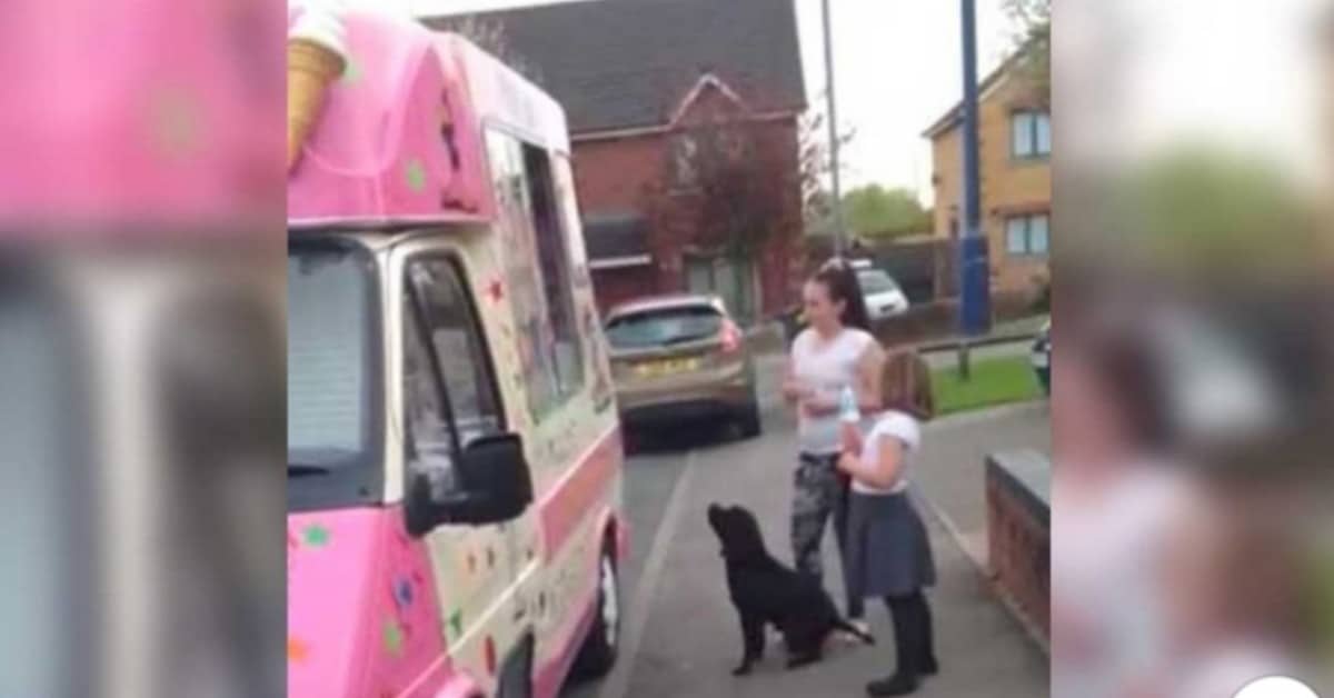 L’amore di Reggie per il gelato