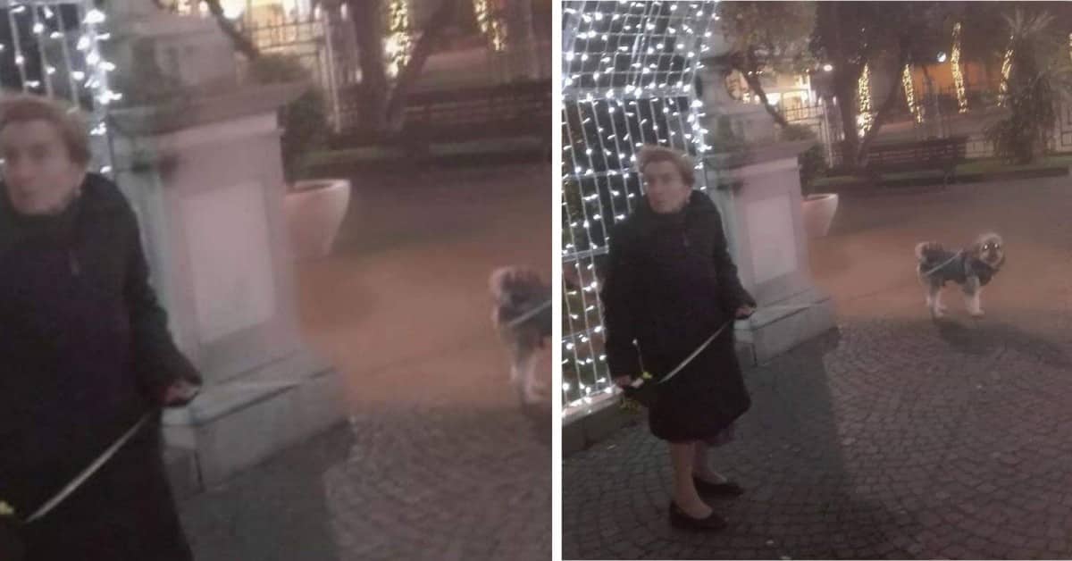 Rosa torna a casa e trova il cane senza vita, per il dolore perde la vita anche lei