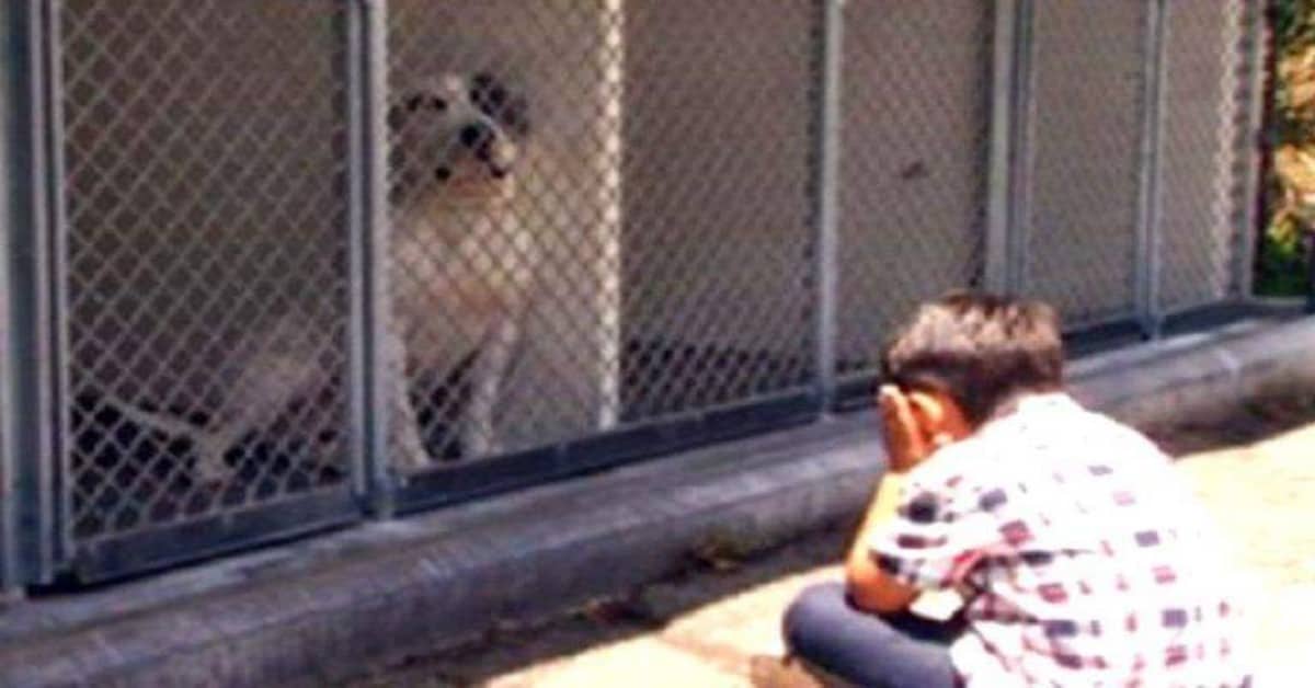 L’amore per gli animali di Jacob