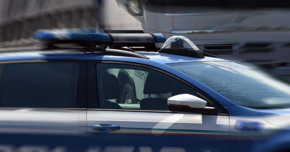 Capretto finito sull’autostrada di Orvieto