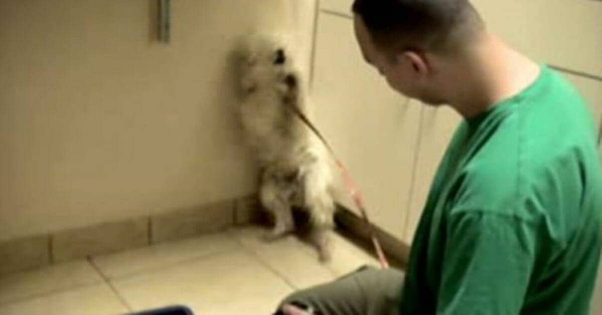 Il salvataggio della piccola Edie