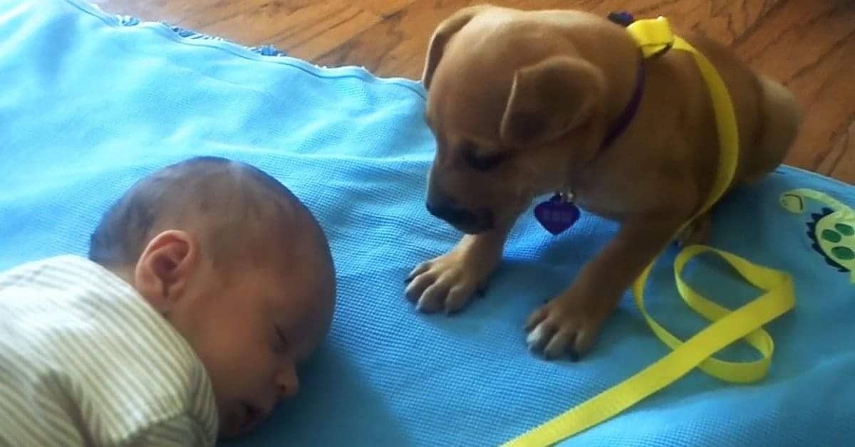 La dolcezza di Callie, con il neonato