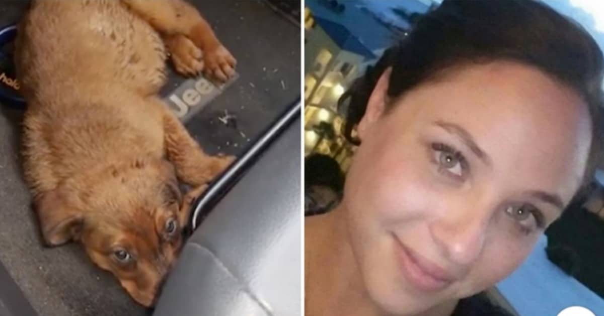 Kaitlyn, salva la vita al cucciolo in gravi condizioni