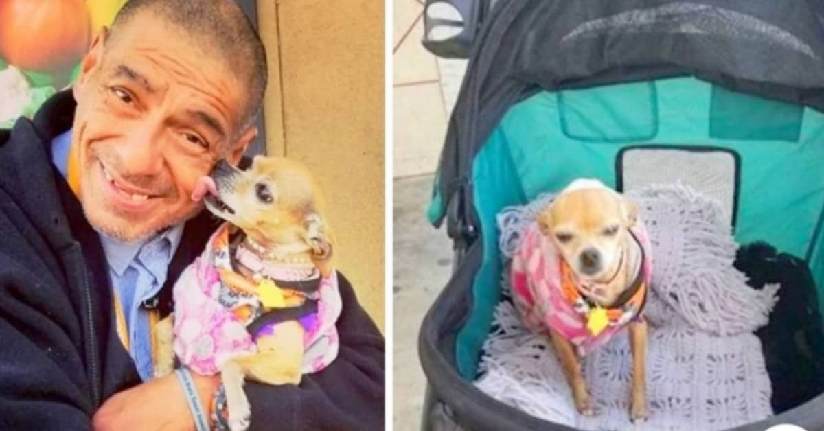 La triste disavventura di Hector ed Amy