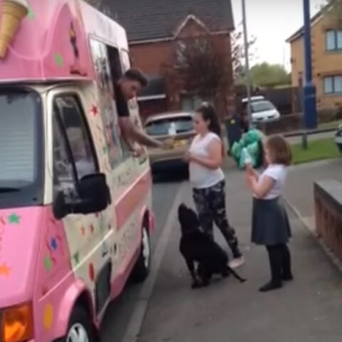 l'amore-di-Reggie-per-il-gelato 1