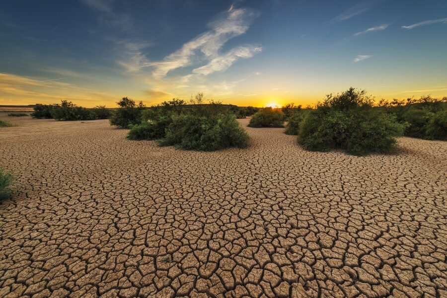 Giornata Mondiale dell'Ambiente. 