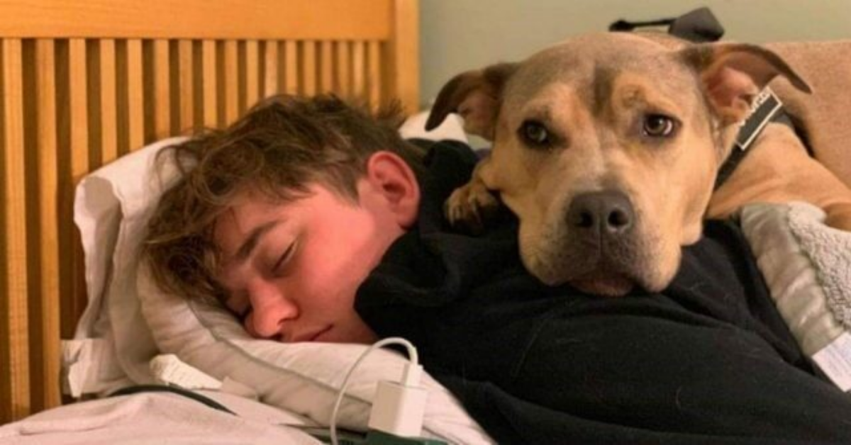 L’amicizia di Hedgie e Mason