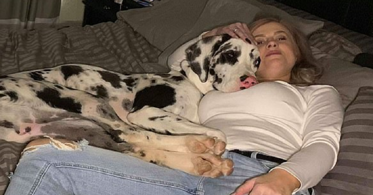 Loki, il cane con 70 denti