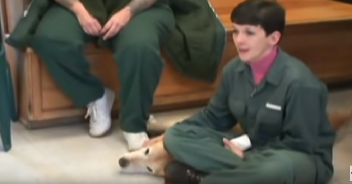 Pax e la sua mamma speciale