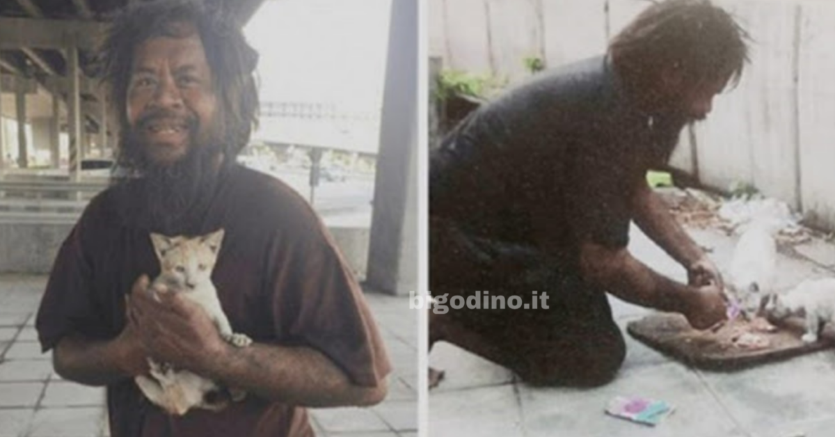 Senzatetto vende limoni per comprare il cibo ai gatti randagi