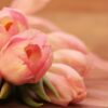 Quali fiori regalare per un compleanno