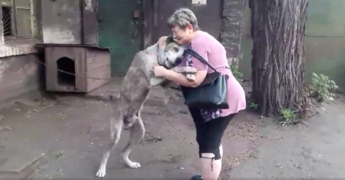 Ritrova la sua mamma umana dopo due anni