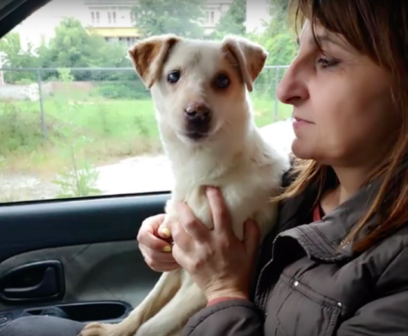 Helen-la-cucciola-cieca-trovata-in-strada 2