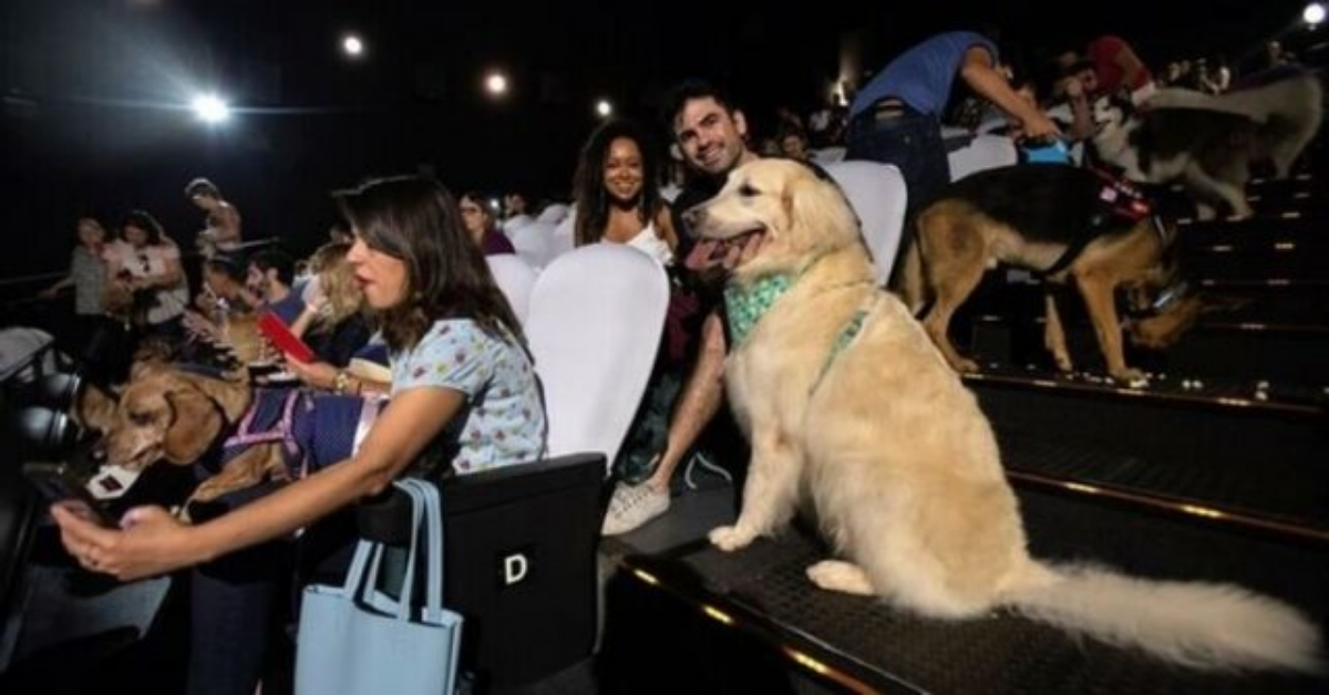 Un cinema brasiliano ha aperto le porte agli amici a quattro zampe