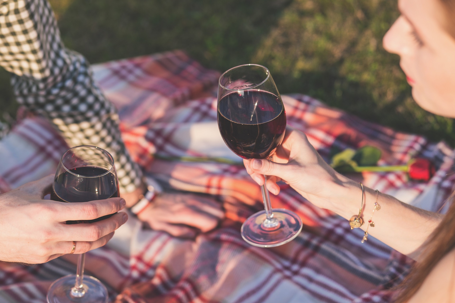 Oggi è il World pic nic day 2019