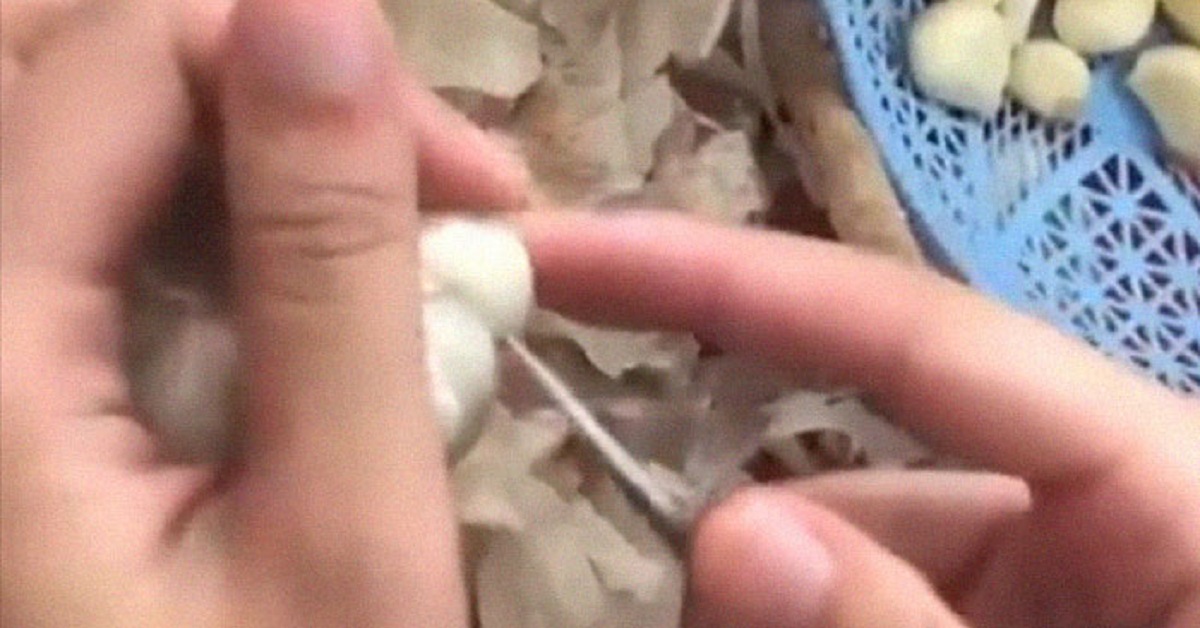 Come sbucciare l’aglio velocemente