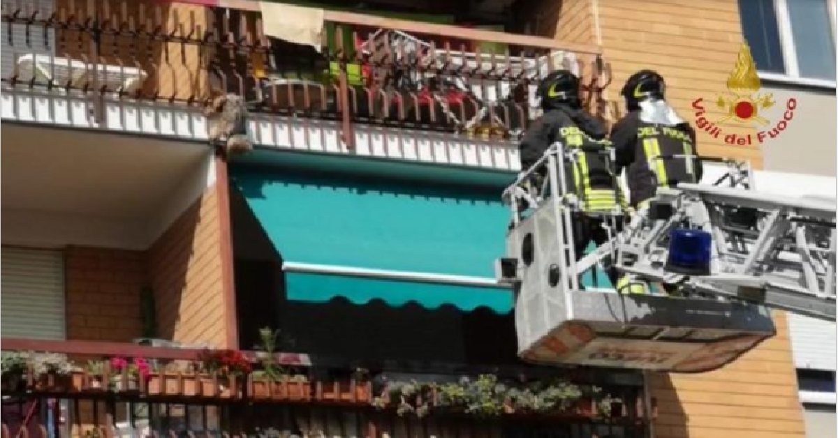 Eroico intervento a Macerata per un cane sul balcone