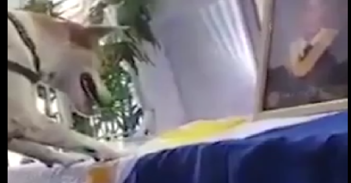 L’addio a Buboy