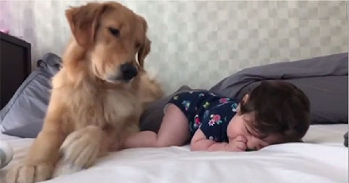 Neonata di 4 mesi incontra la tata più dolce che ci sia