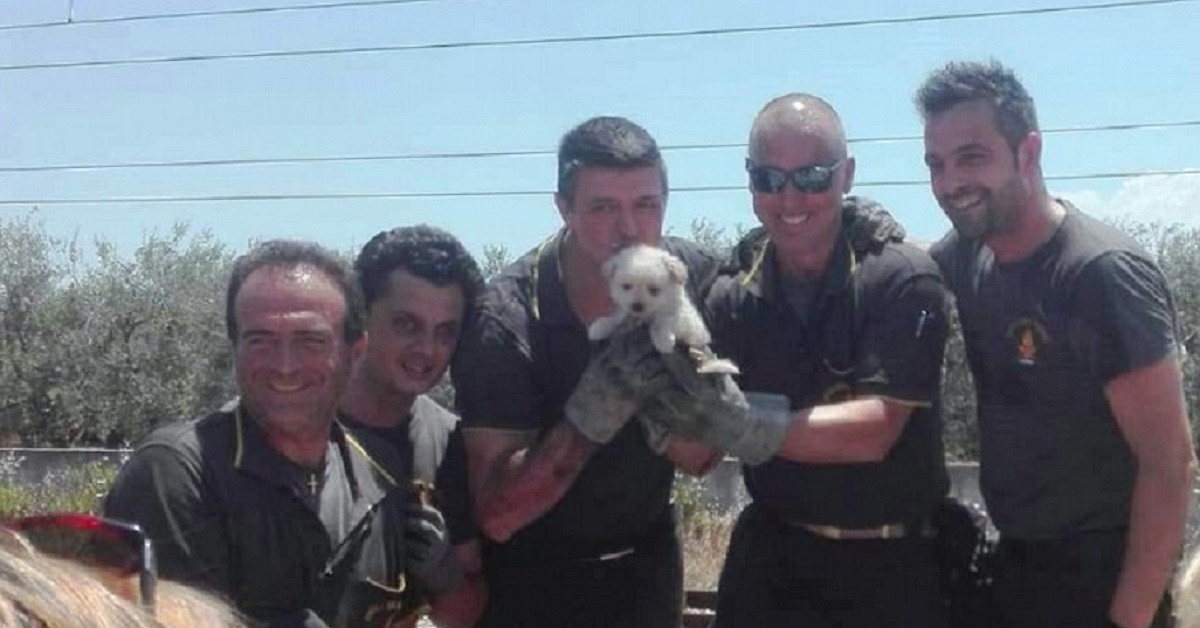 Terlizzi, cucciolo salvato dai vigili del fuoco