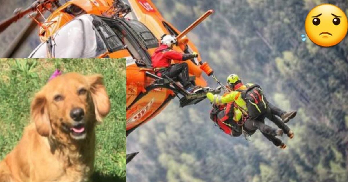Escursionista scomparsa ritrovata a Bolzano