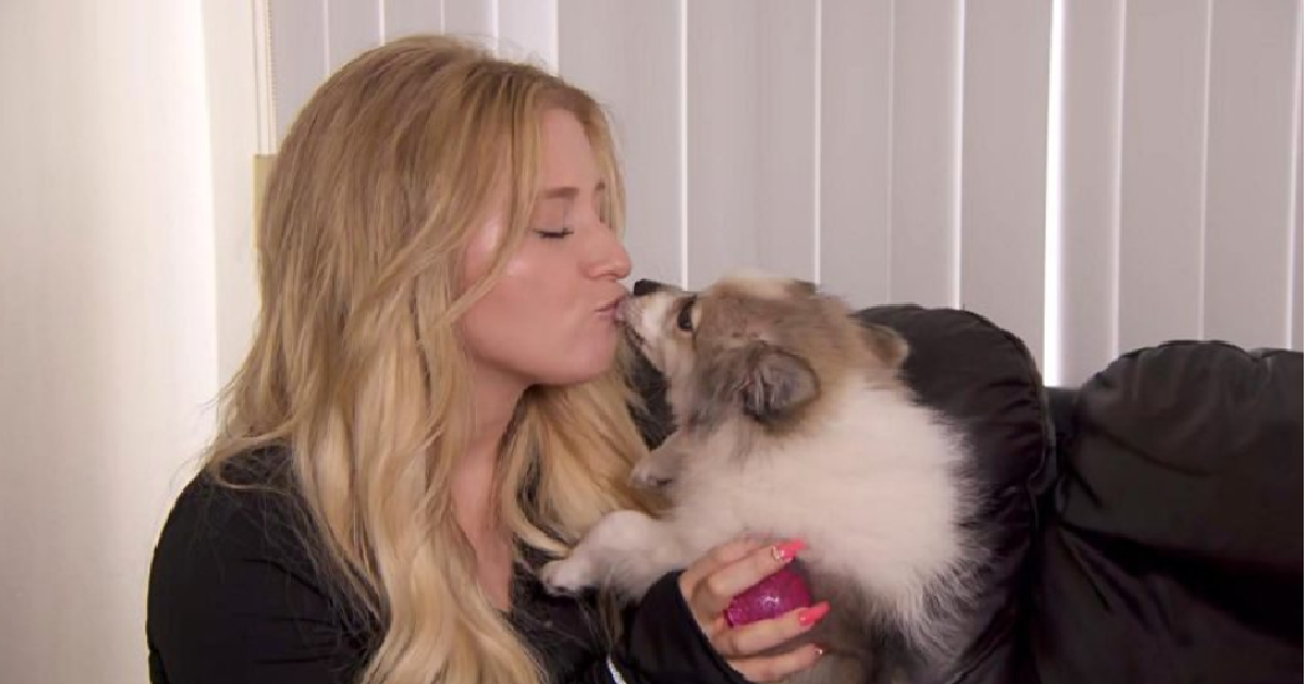 Ashley lascia il fidanzato e lui fa sparire il cane