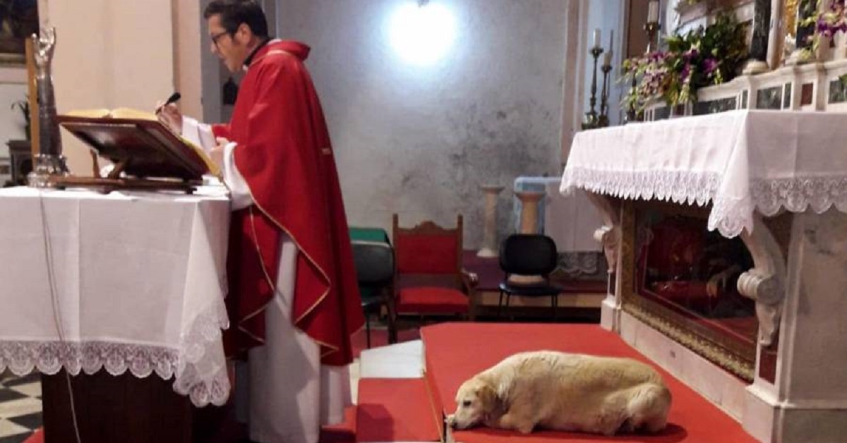 Frosinone, il parroco ha un cane come chierichetto