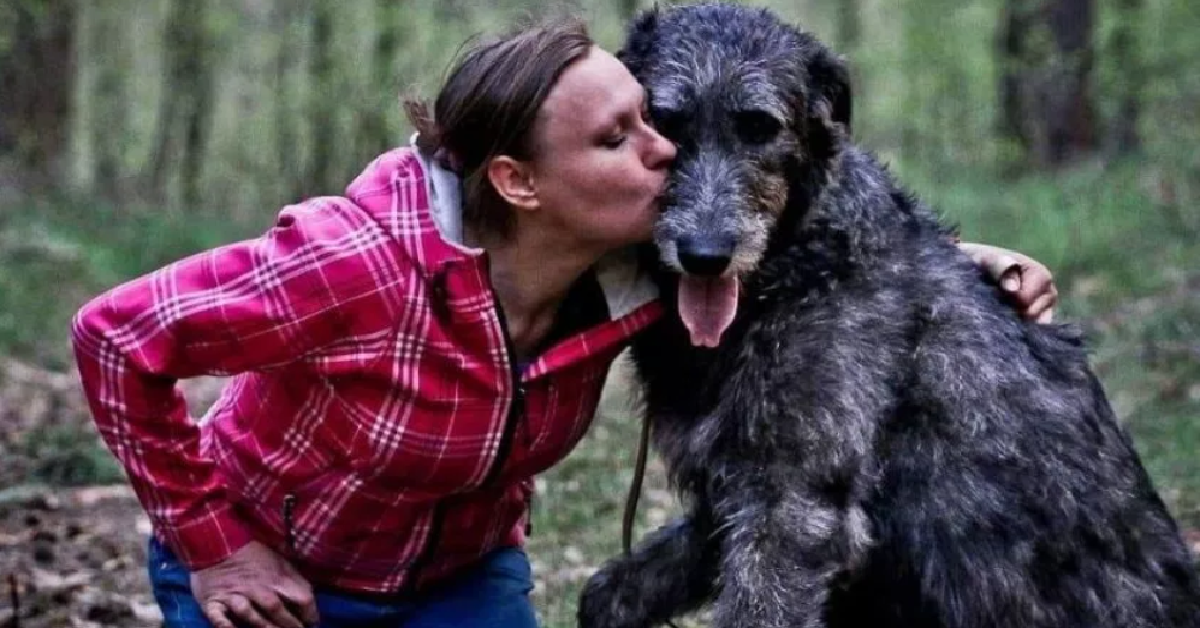 Il cane abbandonato nel bosco