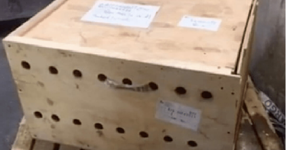 Una scatola sospetta in aeroporto