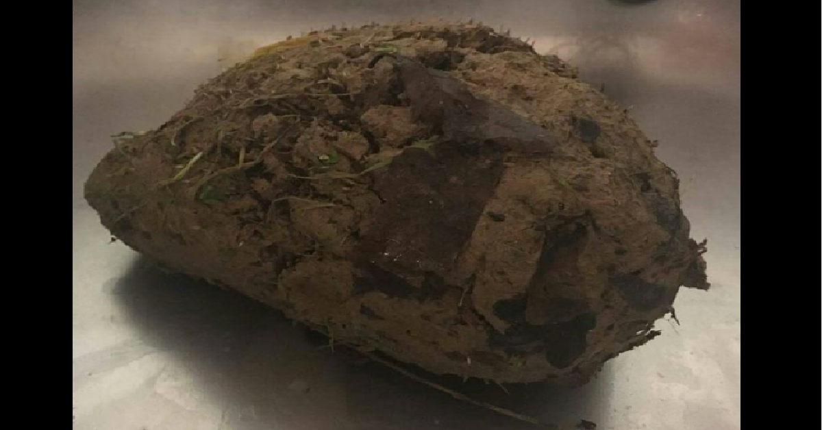 Lo strano pezzo di argilla
