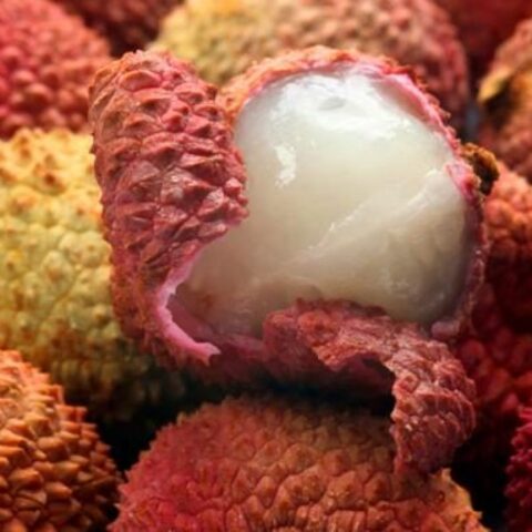 litchi