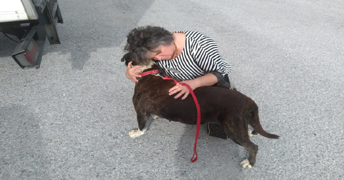 Porta la sua Lola al parco e si toglie la vita