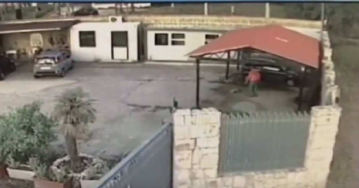 Spara al pitbull che ha aggredito il suo cane