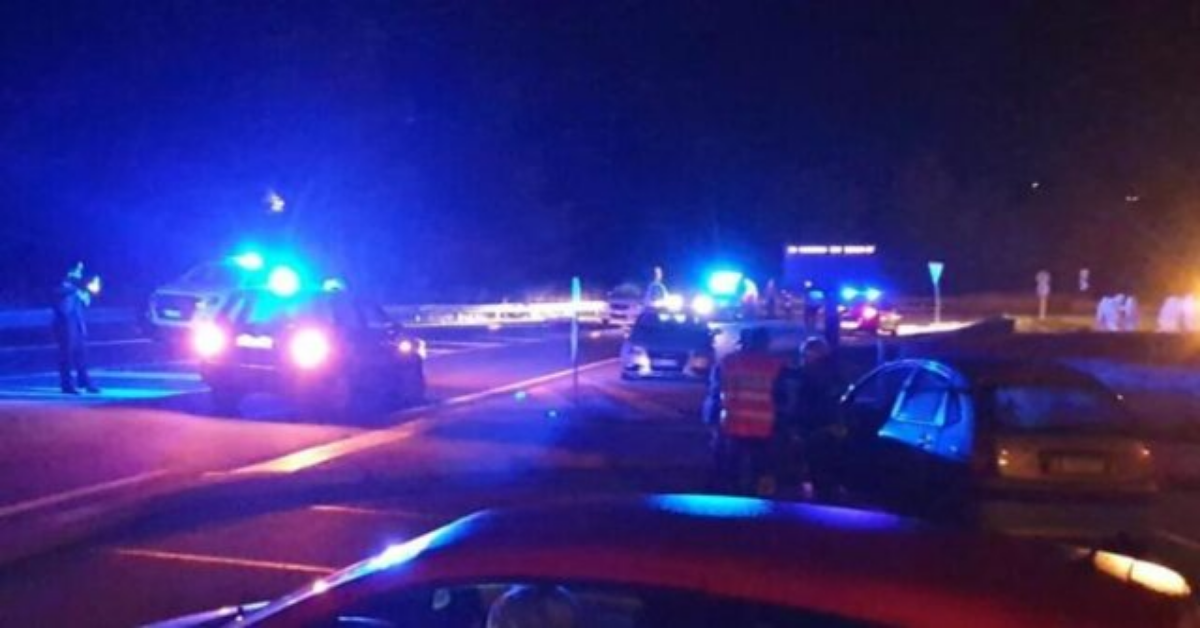 Verbania: si ferma per aiutare un capriolo, ma perde la vita
