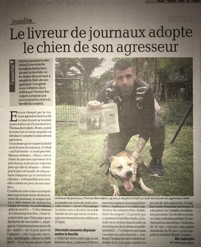Ordina al cane di attaccare un ragazzo, ma l’animale non è d’accordo