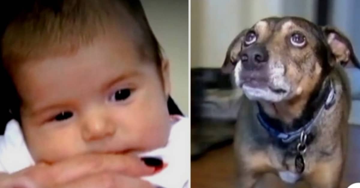 Duke è riuscito a salvare la vita della neonata