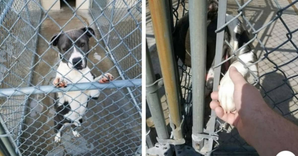 Il gesto disperato di Ellie per salvarsi la vita