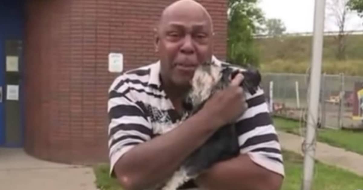 La riunione tra Andrew e il suo cane Polo