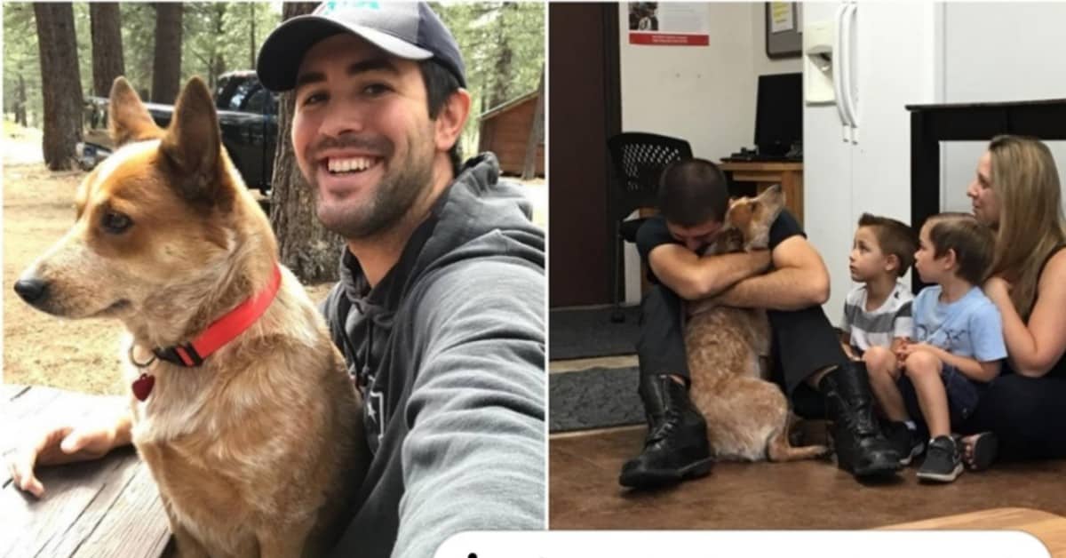 La commovente riunione tra il cane Shelby e Justin