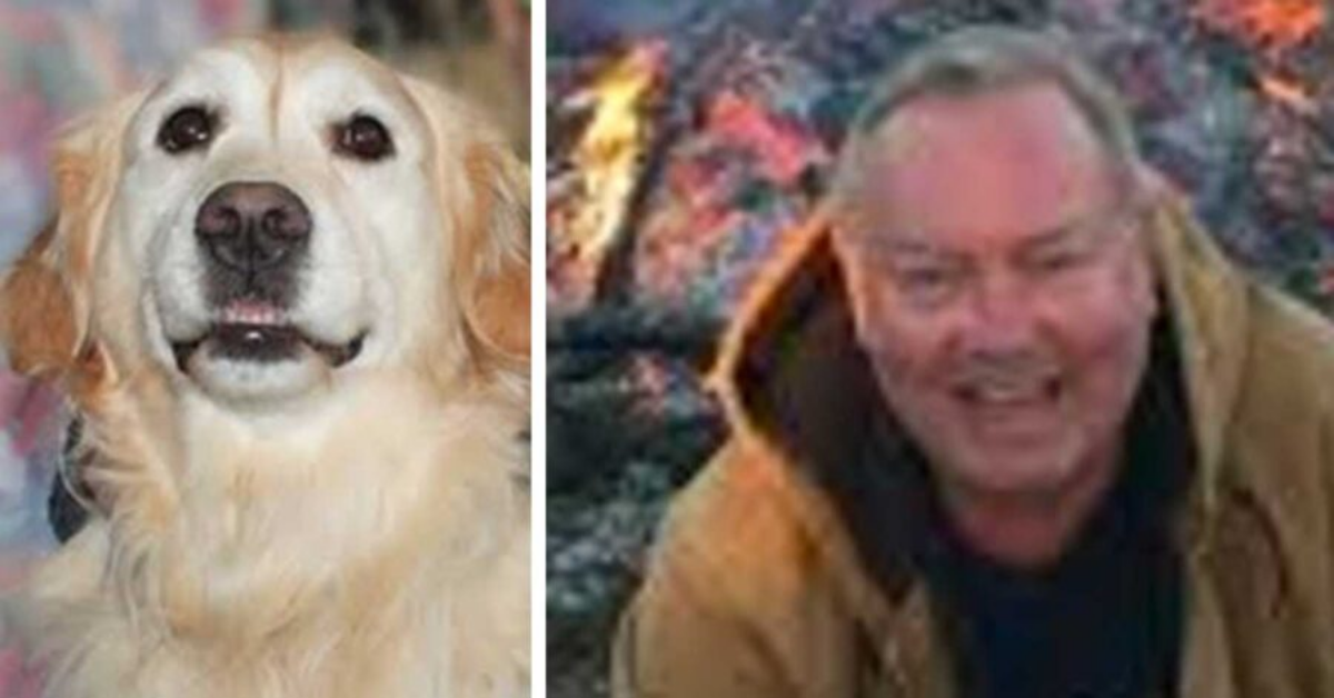 Uomo si rompe il collo e rimane bloccato nella neve: nessuno lo sente, tranne il suo Golden Retriever