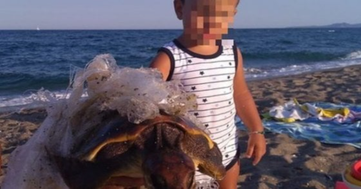 Sardegna, bambino salva una tartaruga incastrata nella plastica