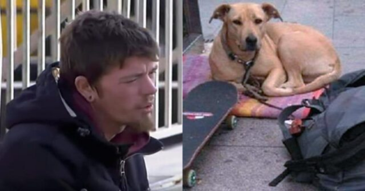 La sentenza sul cane Sota, ucciso da una Guardia Urbana