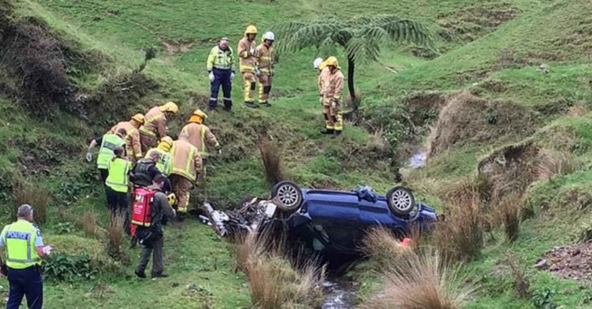 La sua auto si schianta e finisce in un burrone. Sopravvive grazie al calore del suo cane.