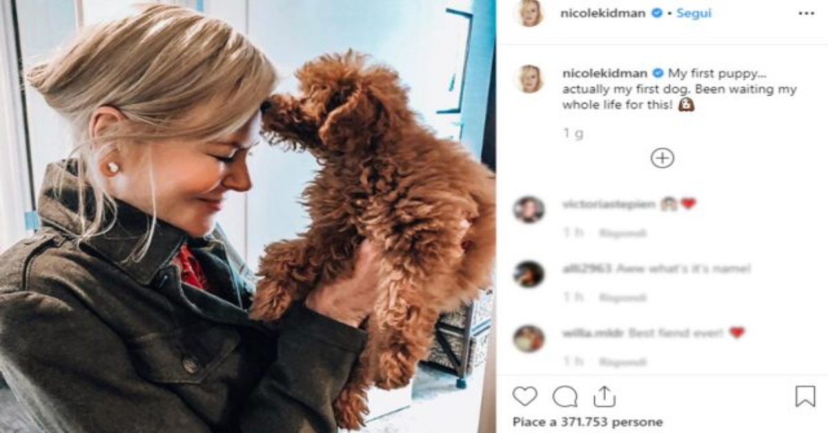 Nicole Kidman presenta il suo primo animale ai suoi fan, sul suo profilo Instagram!