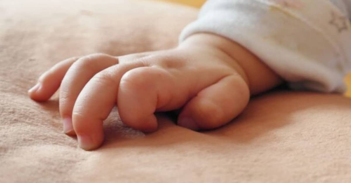 Padova, tolta ai genitori per errore: “per noi due anni di incubi”.